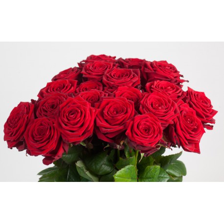 Composez votre bouquet de roses rouges